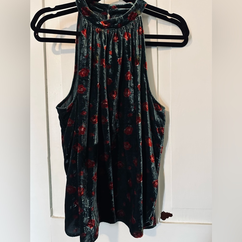 Velvet high neck top